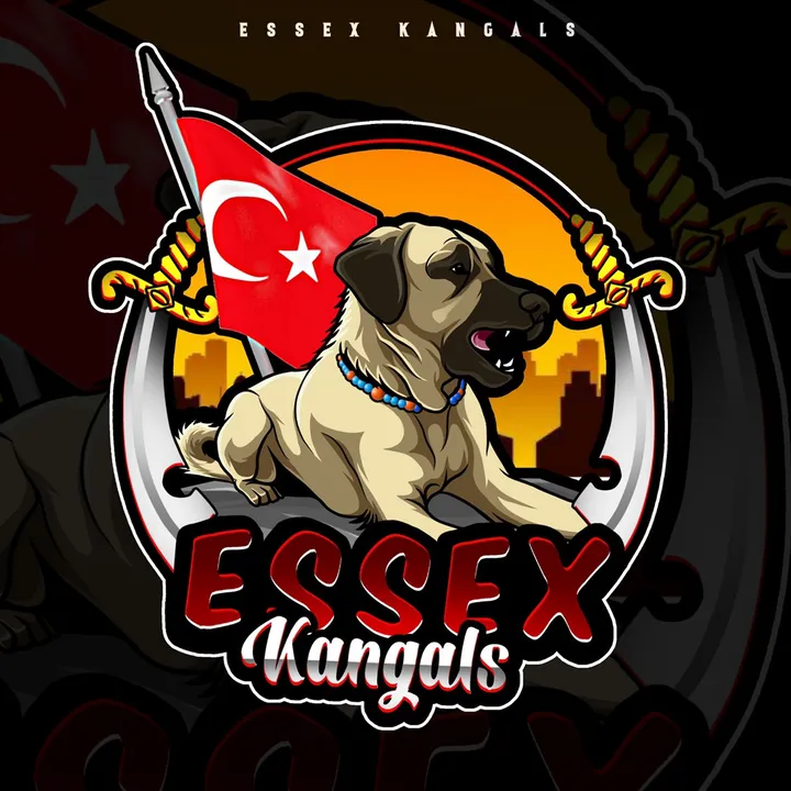 essexkangals