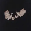 @flyonthefloor