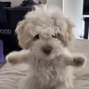 @bkriwmq