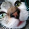 monsi_09