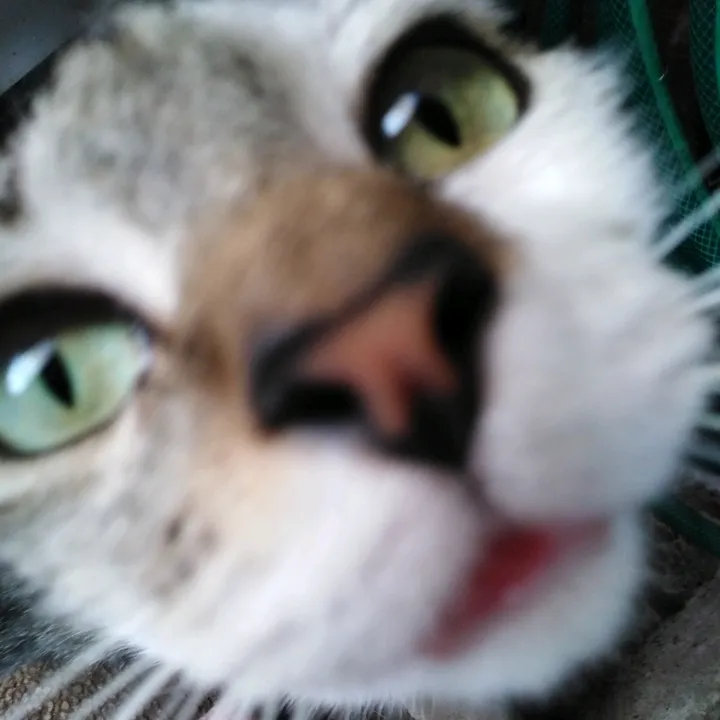 monsi_09