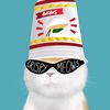 crispymeows