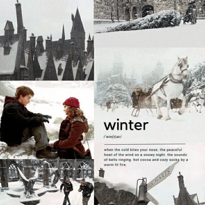 @olivers_broomstick