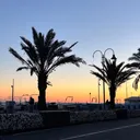 @__privssssss__