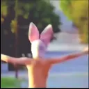 @wlkw2_