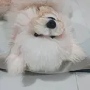 @cna.prime