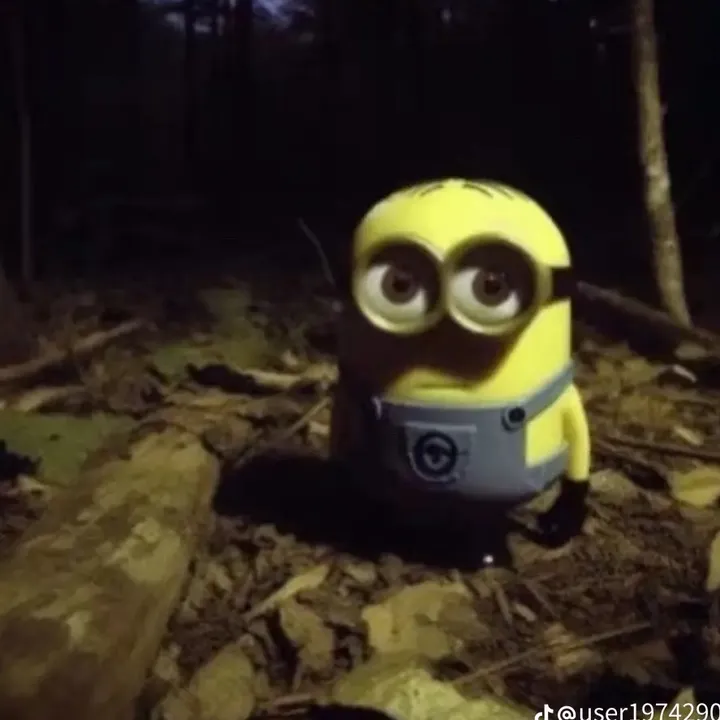 nidh0e