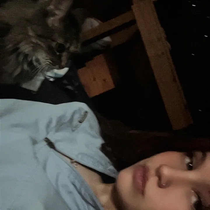 @auroradozier80