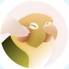 pinnabird