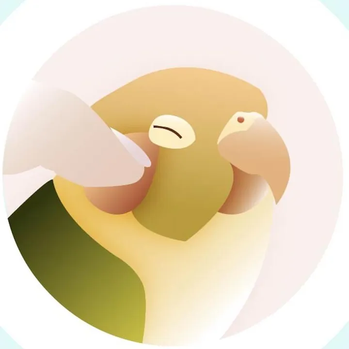 @pinnabird