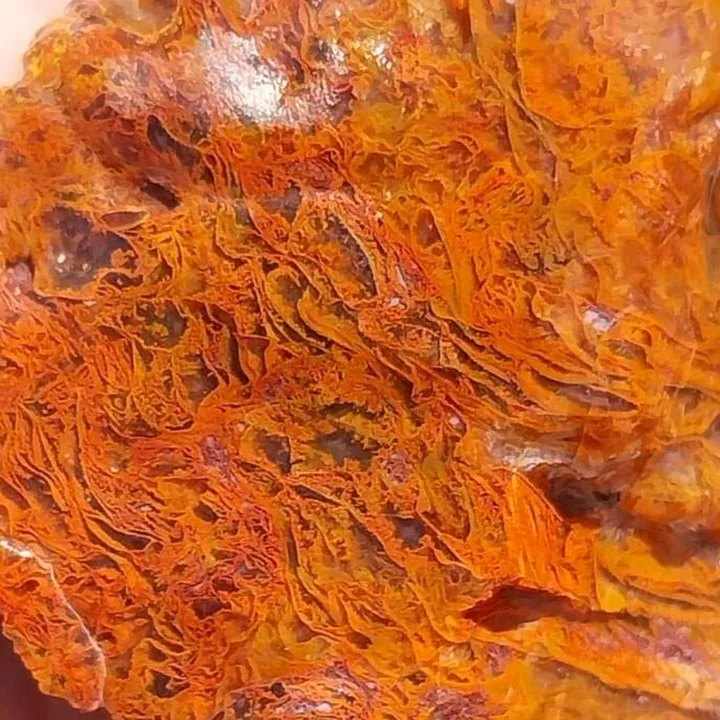 stonedrockhound23