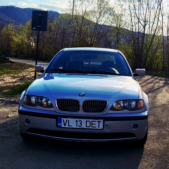 _alin_666