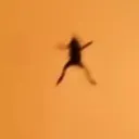 @cypress_cryptid_vibes