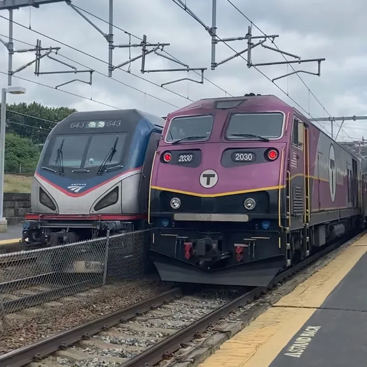 briandoestrains