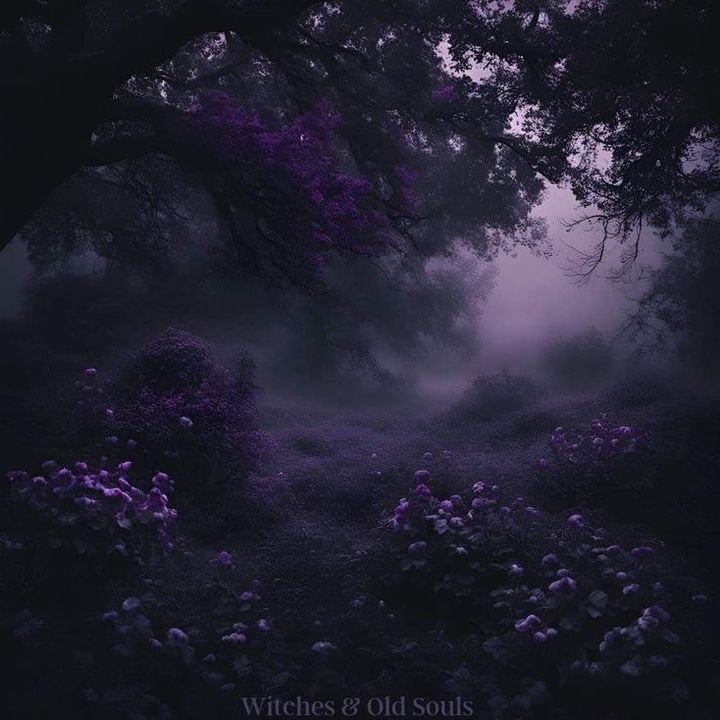 🛸 - original sound