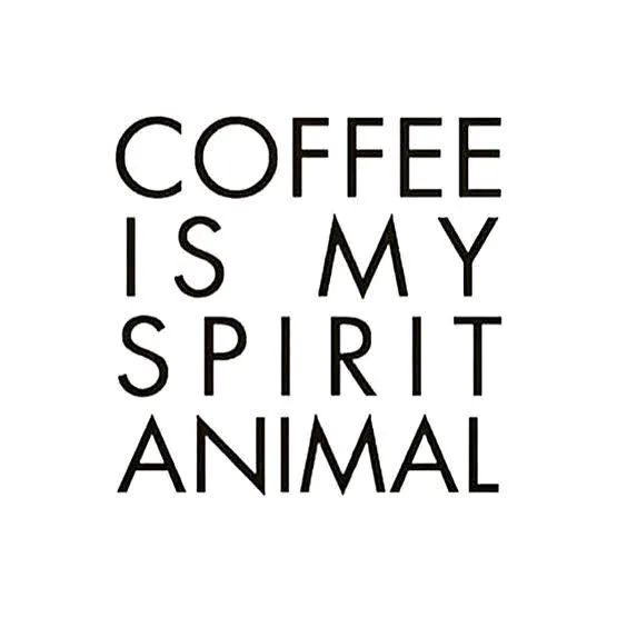 @toomuchcoffee84