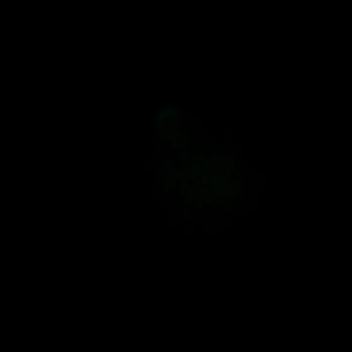 @nbayoungboy974