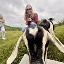 @notcmoneytiktok