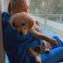 @pepsi_thegoldenboy