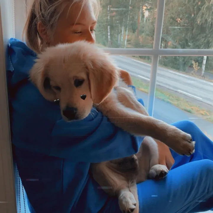 @pepsi_thegoldenboy