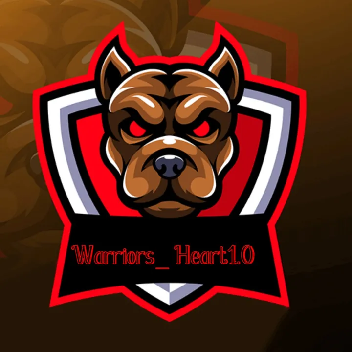 @warriors_heart1.0