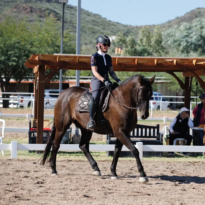 @thedressageduo