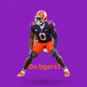 @go.tigers1