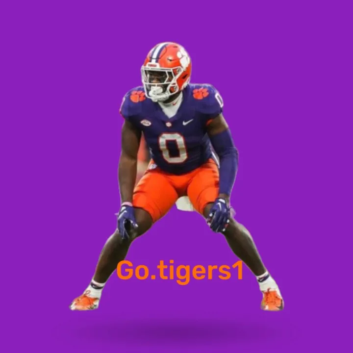 go.tigers1