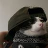 whatthepurr