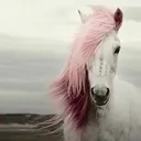 @lynneshelby00