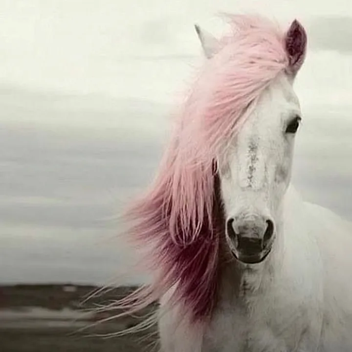 @lynneshelby00