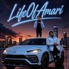 lifeofamari1