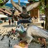 visit_bascarsija