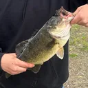 @tonyfishin6