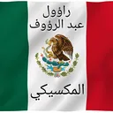 @raullikesquran