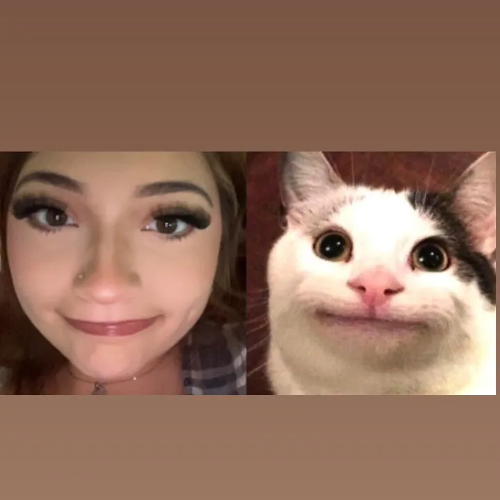 @ladybbugss