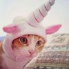 superamazingcat