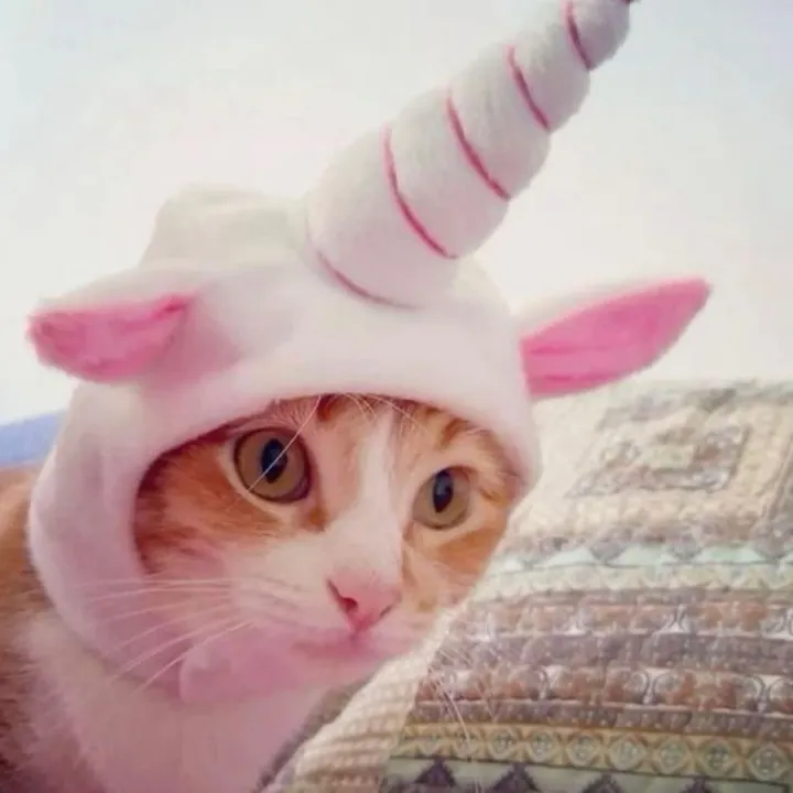superamazingcat