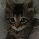 @x_xpanterrrs