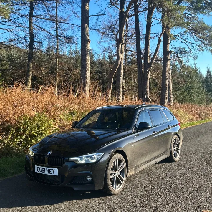 scottish_exotics