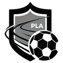 @prolevelacademy