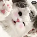 @idontkaee