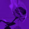 __lubie.cie._