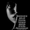 bijela_ruza123