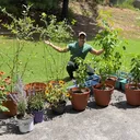 @buff.gardener