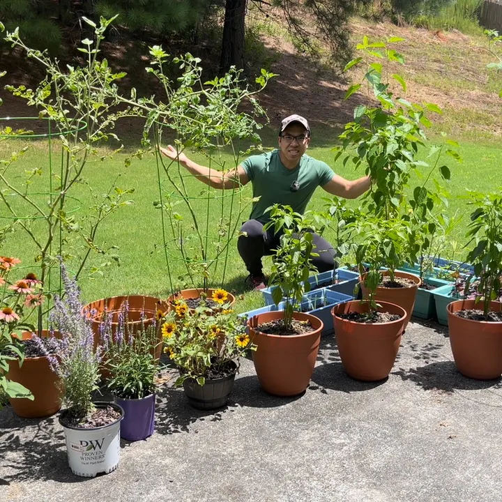 buff.gardener