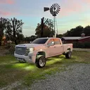 @dawhitel5p