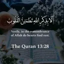 @amir_bw1