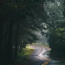 @woodrowcleveland3