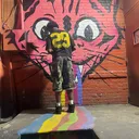 @vulkneverduck